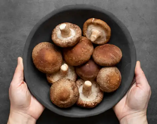 Organic Shiitake Powder in Culinary Applications